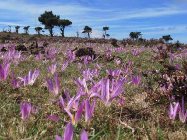 Best of the Camino walking holiday