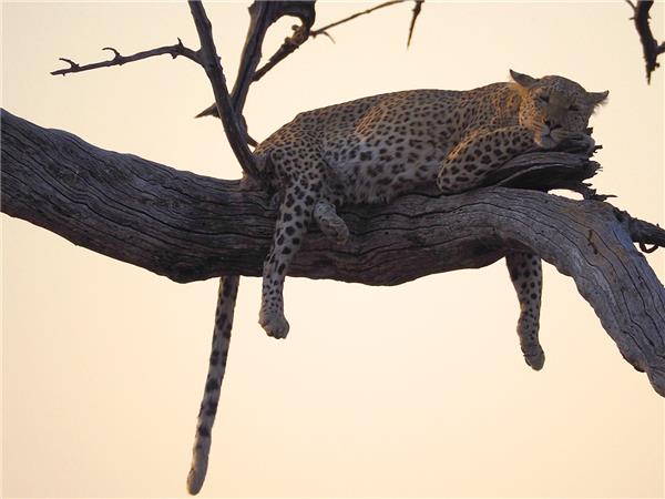 Tanzania cycling holiday, small group