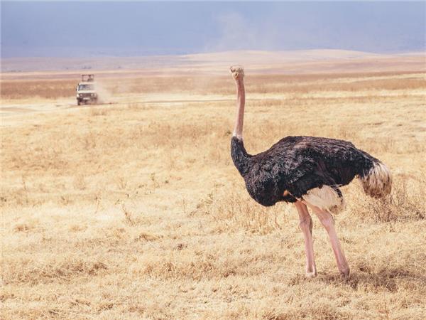 Tanzania cycling holiday, small group