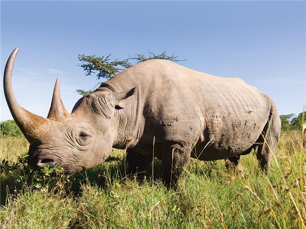 South African safaris for families with teenagers