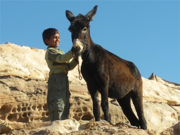 Family holiday to Jordan, Journey to the Lost City
