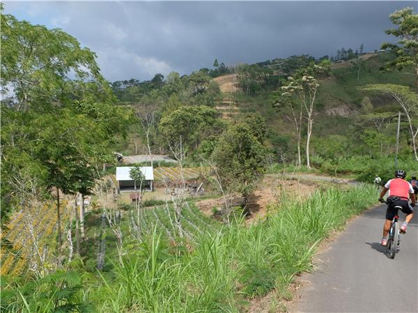 Indonesia cycling holiday, Bali and Java