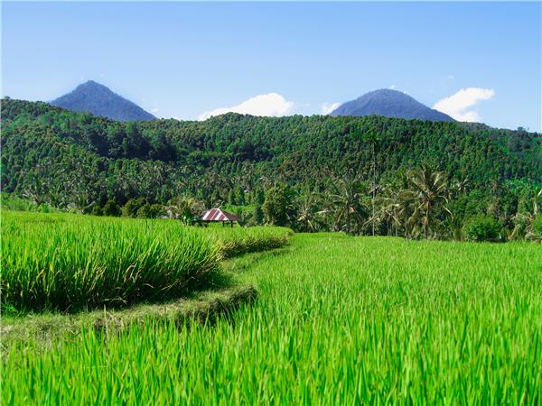 Indonesia cycling holiday, Bali and Java
