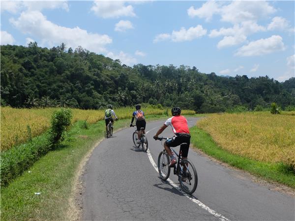 Indonesia cycling holiday, Bali and Java