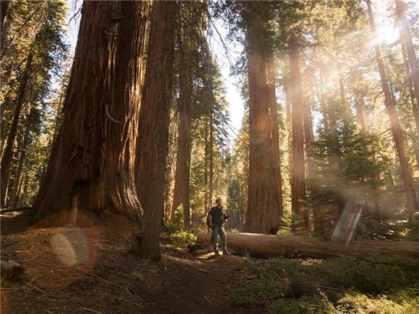 Lake Tahoe and Yosemite tour, USA