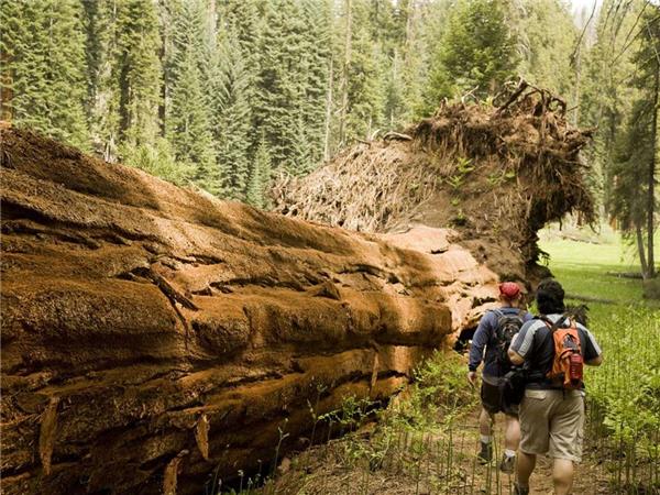 Lake Tahoe and Yosemite tour, USA