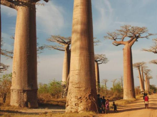 Madagascar adventure holiday, 21 days