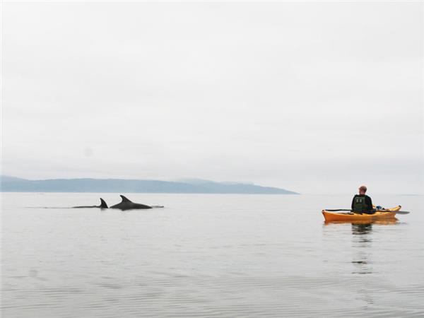 Sea kayaking holiday in the Scottish Highlands