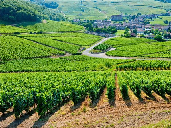 Loire Valley walking and wine holiday