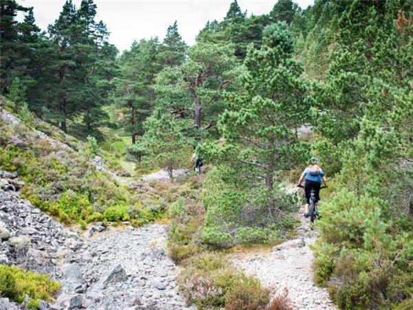 Scotland mountain biking coast to coast