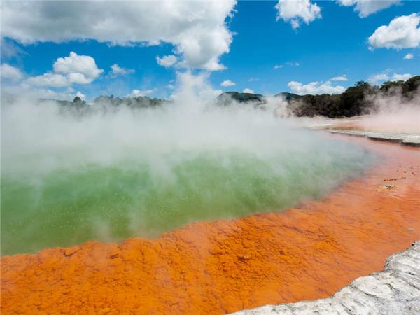 New Zealand walking holiday, small group