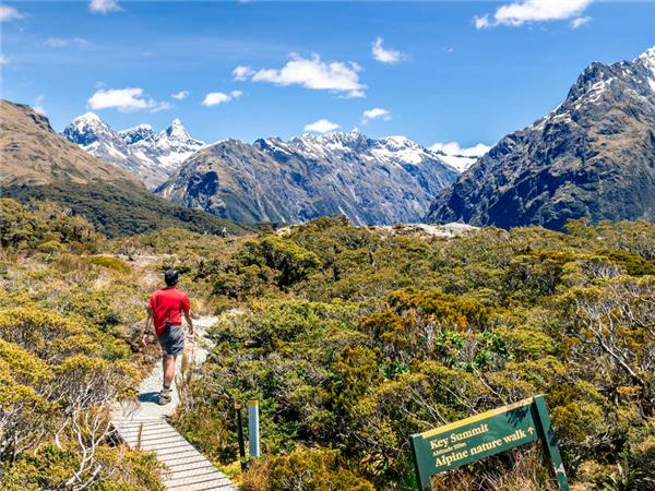 New Zealand walking holiday, small group