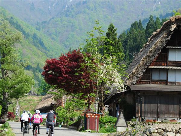 Japan cycling holiday, small group