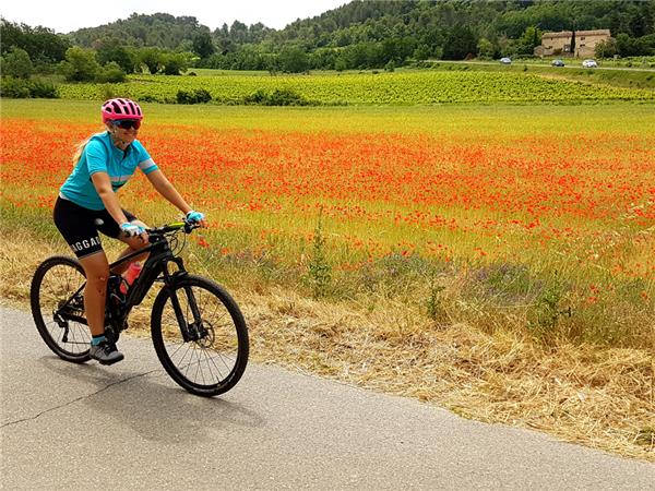 Florence to Pisa cycling holiday