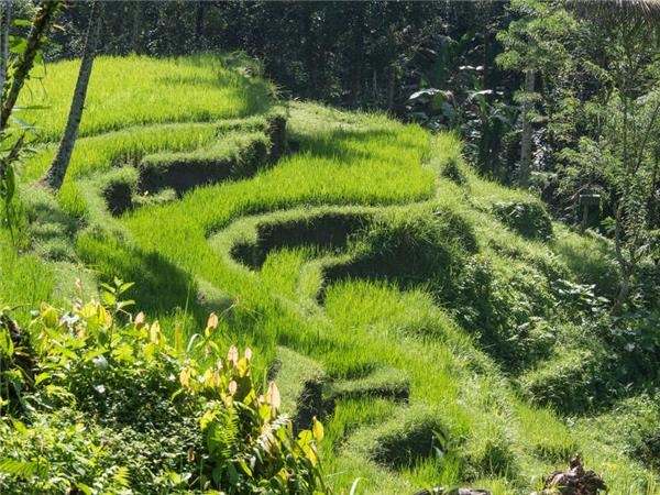 Indonesia family holiday