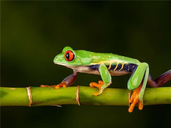 Coast to Coast holiday in Costa Rica