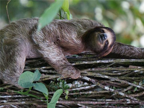 Coast to Coast holiday in Costa Rica