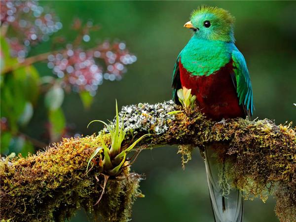 Coast to Coast holiday in Costa Rica