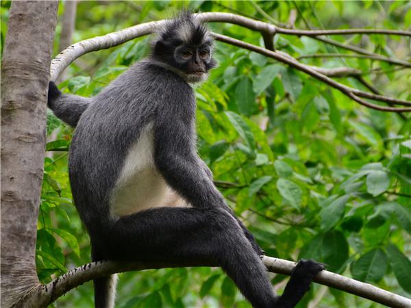 Sumatra small group holiday