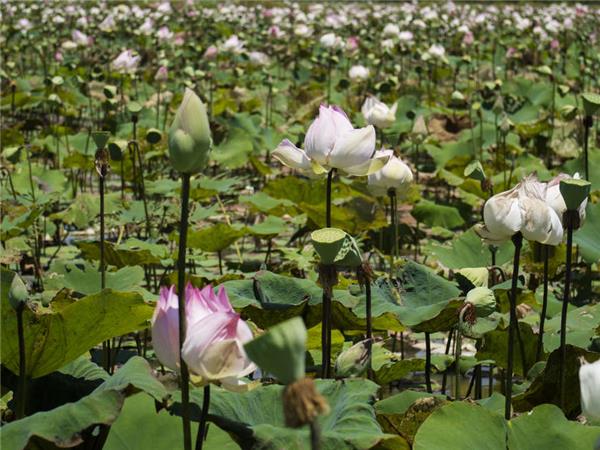 Cambodia small group holiday