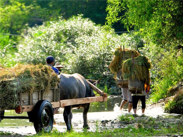 Vietnam and Angkor Wat small group tour