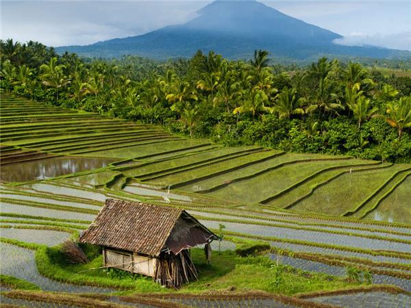 Bali, Flores and Komodo holiday, Indonesia