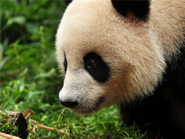 China highlights small group holiday