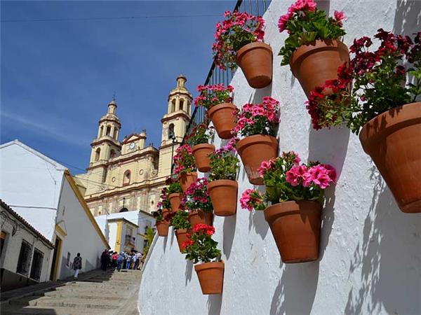Historic Andalucia tour, Spain