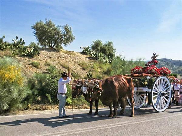 Historic Andalucia tour, Spain