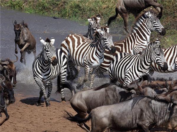 Kenya family small group holiday