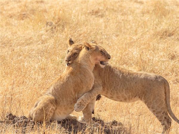 Kenya family small group holiday