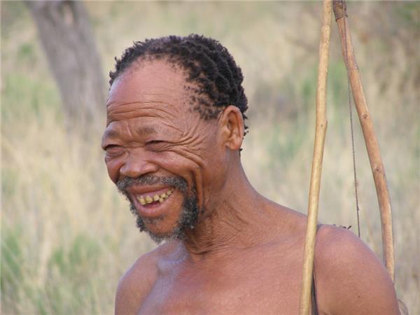 Botswana highlights and Caprivi guided tour