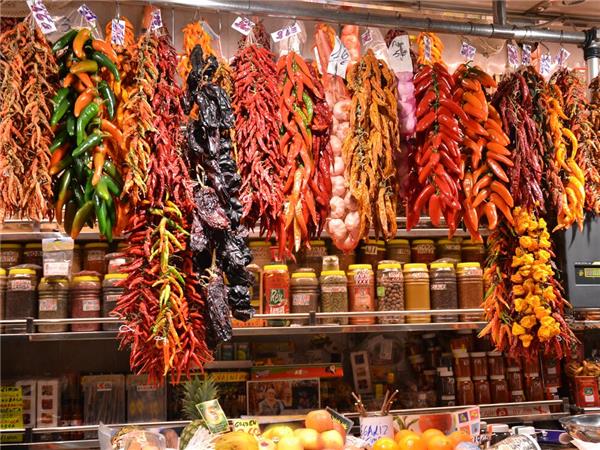 Northern Spain small group holiday