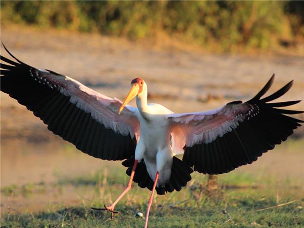 Botswana small group holiday, added comfort
