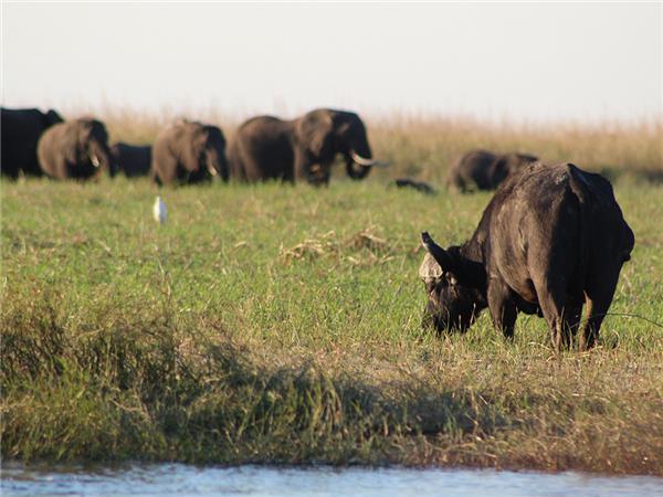 Botswana small group holiday, added comfort