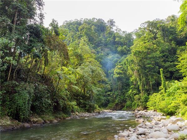 Highlights of Indonesia small group tour
