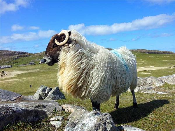 Western Isles small group walking holiday, Scotland