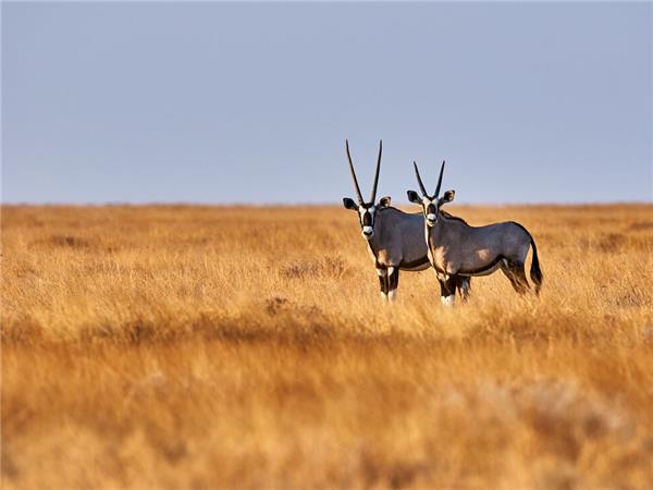 Cape Town to Windhoek holiday