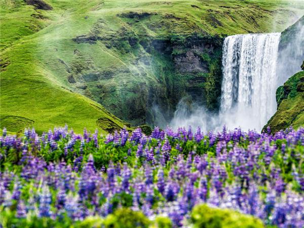 Iceland summer small group holiday