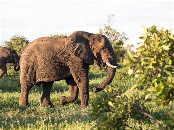 Kruger & coast holiday in South Africa