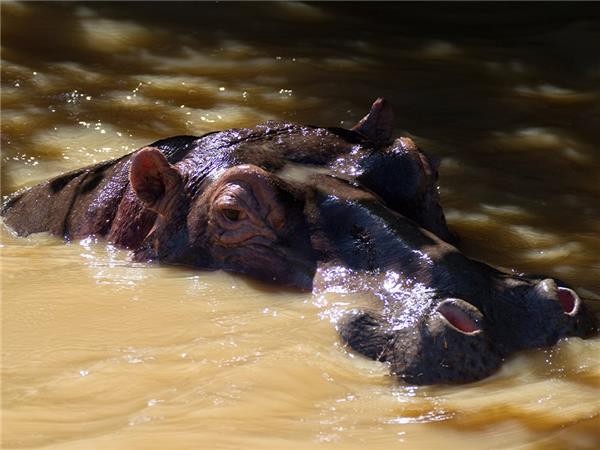 Kruger & coast holiday in South Africa