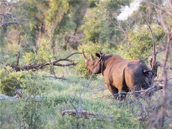 Kruger & coast holiday in South Africa