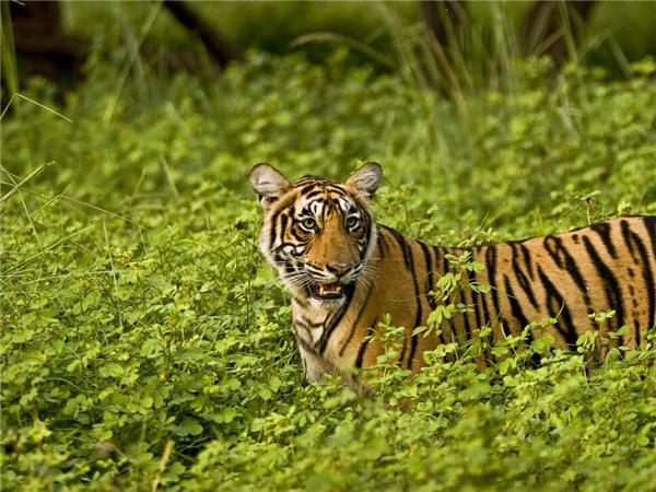 India small group holiday with added comfort