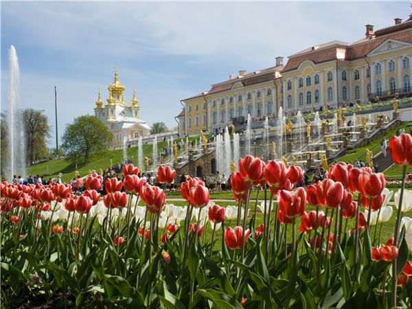 Trans Mongolian holiday, tailor made