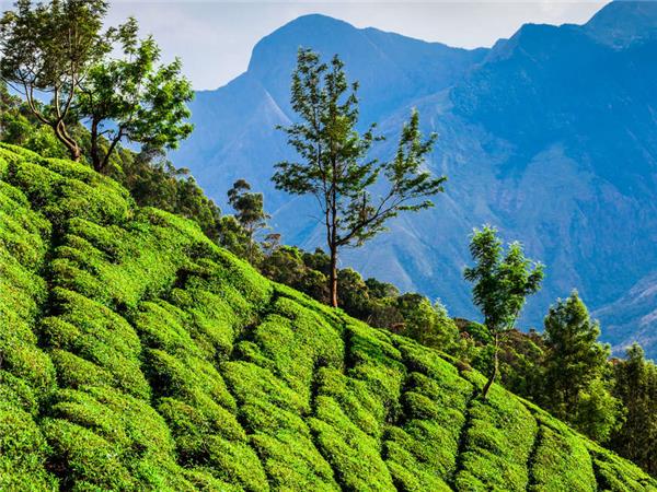 Kerala hiking holiday in India