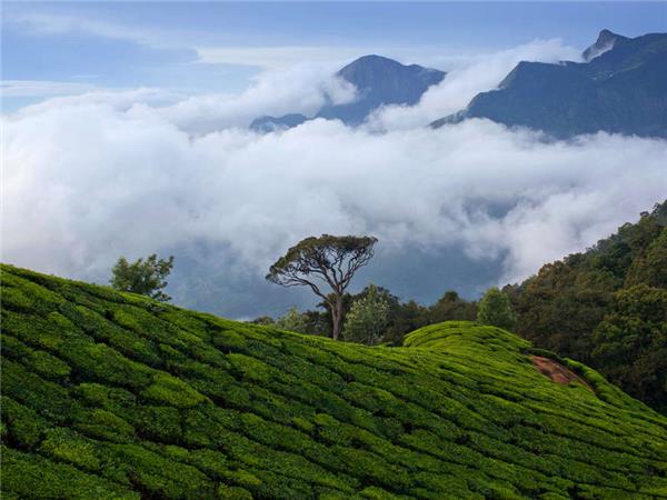 Kerala hiking holiday in India