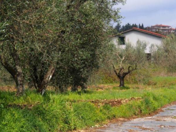 Francigena Way walking holiday in Italy