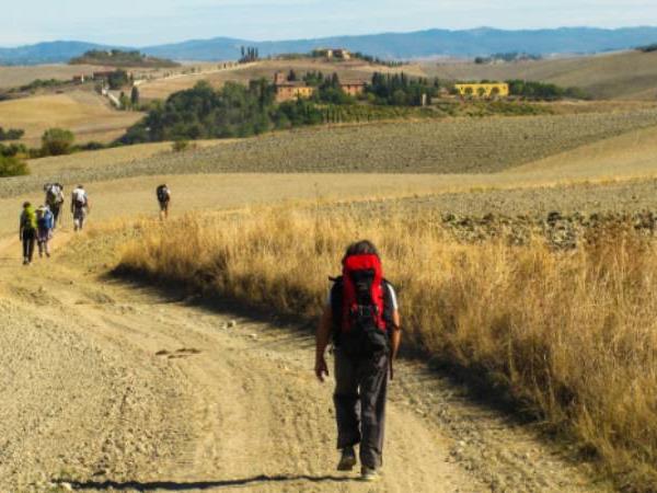 Francigena Way walking holiday in Italy