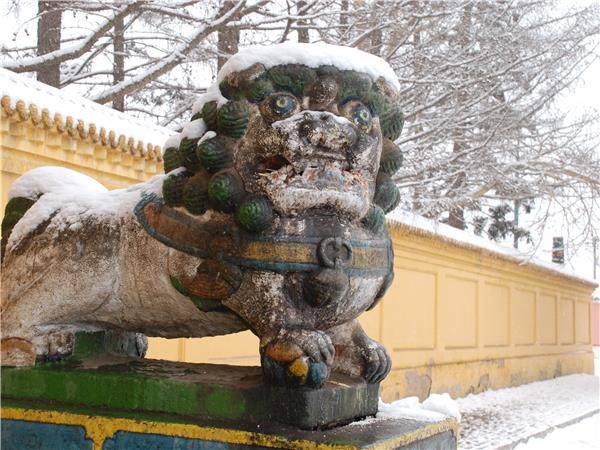 Christmas on the Trans Mongolian express