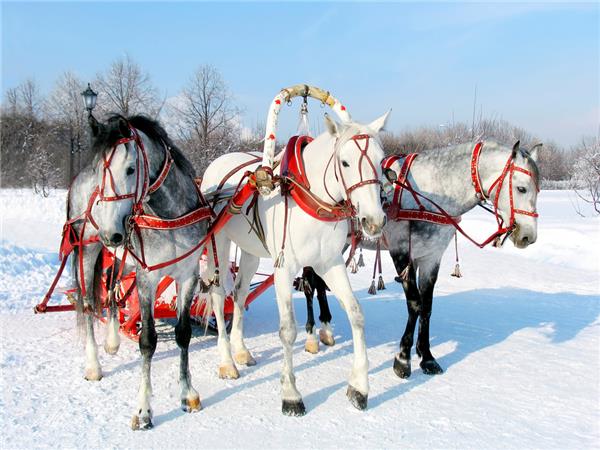 Winter Trans Siberian rail holiday
